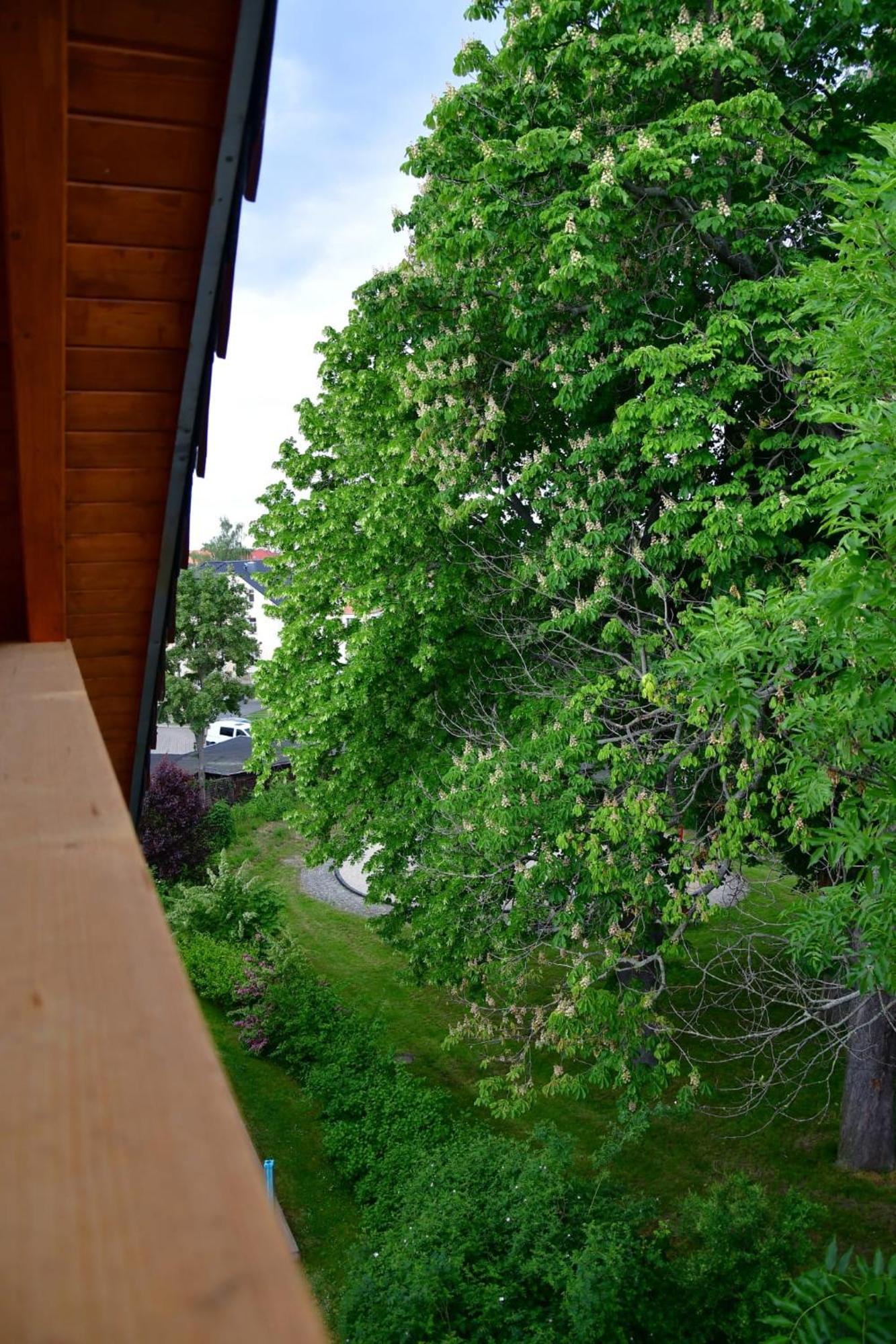Domizil Eutschuetzgruen Apartment Bannewitz ภายนอก รูปภาพ